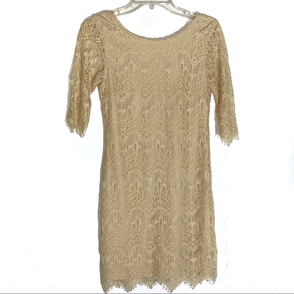 Ezra Lace Dress Size Medium
